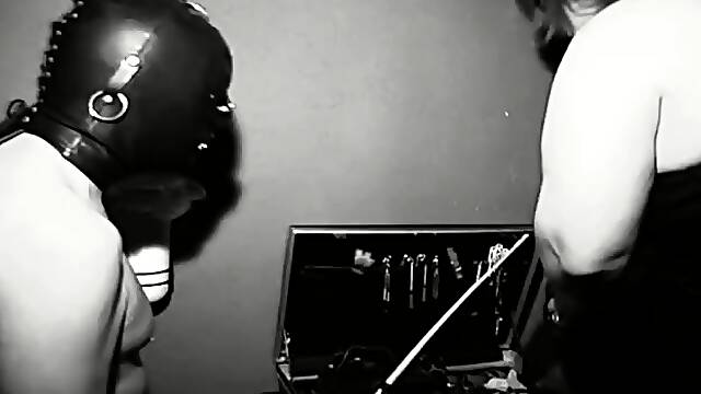 DEUTSCHE DOMINANZ (German) - The Fat Domina FemDom
