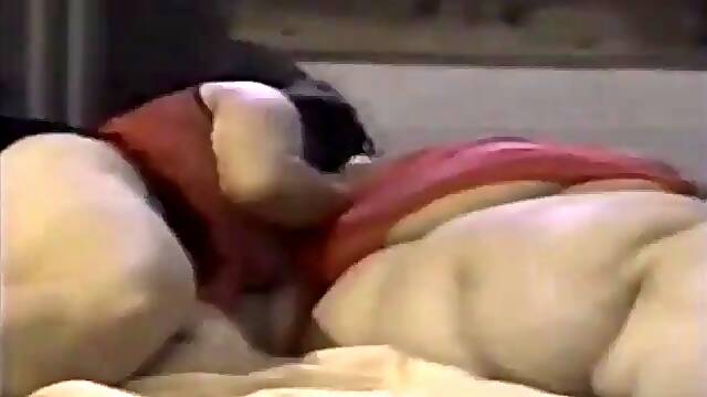 Lesbian ssbbw