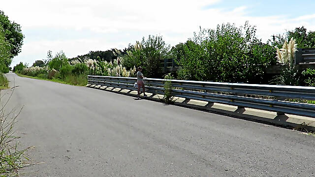 Patricia on the Bridge Over the Road